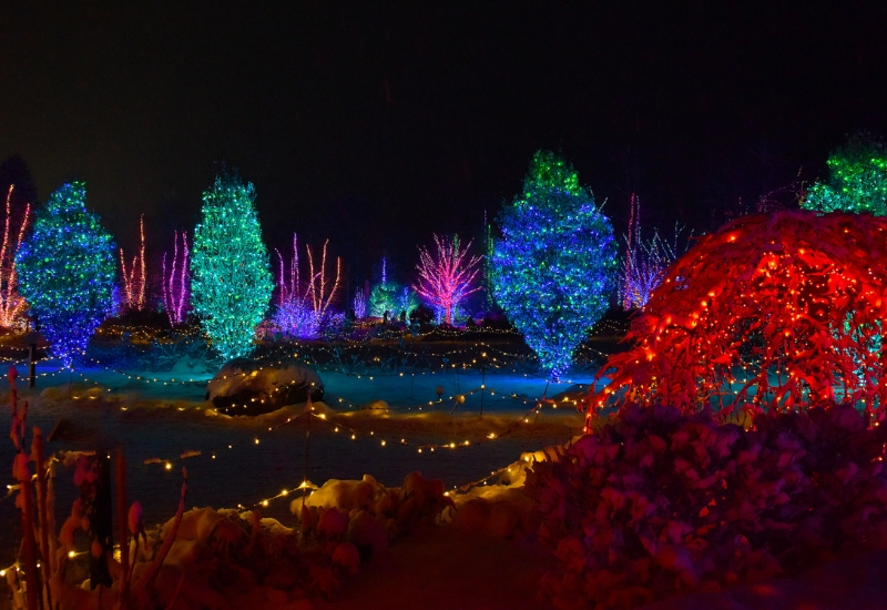 Gardens Aglow view at night - Boothbay Harbor Maine Botanical Garden