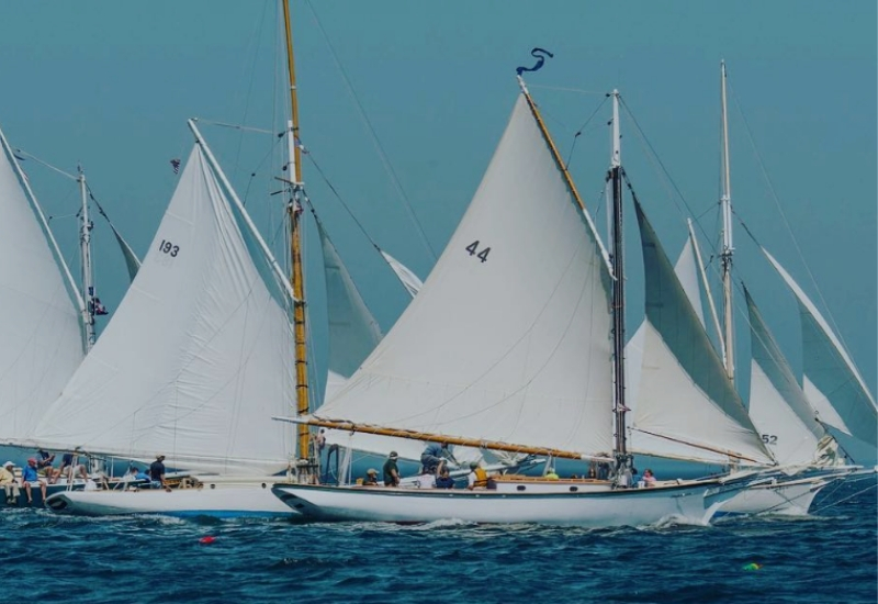 Friendship Sloop Days Rockland Maine Events & Festivals