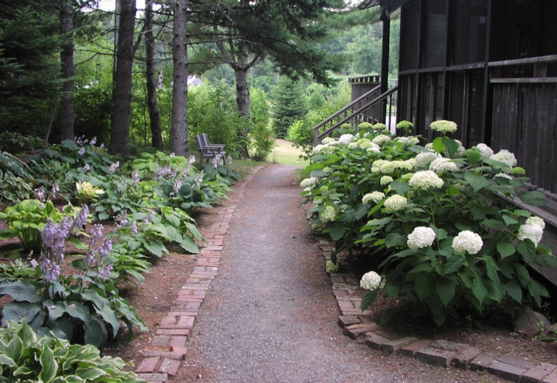 path with flowers blooming at Merryspring Nature Center - attractions in camden maine on the coast