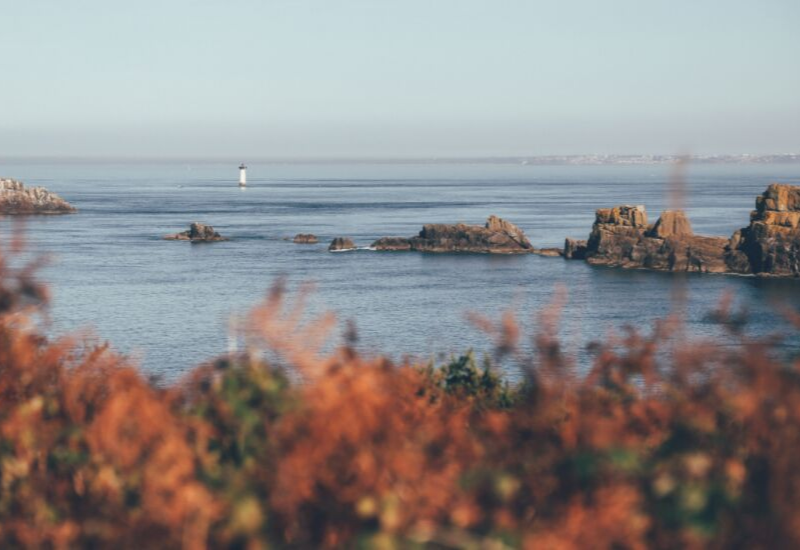 tips to help you enjoy the coastal maine fall foliage