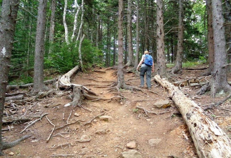 The BEST Hiking Camden Maine Has to Offer: 35 Hiking Trails to Explore