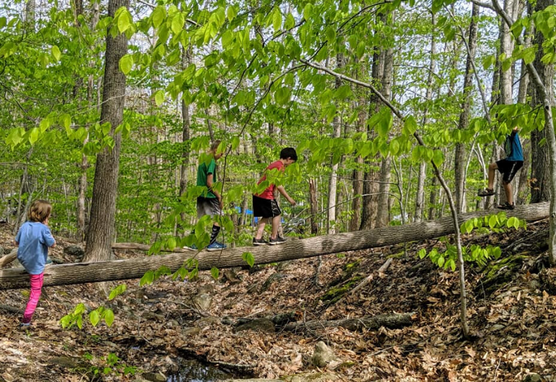 The BEST Hiking Camden Maine Has to Offer: 35 Hiking Trails to Explore