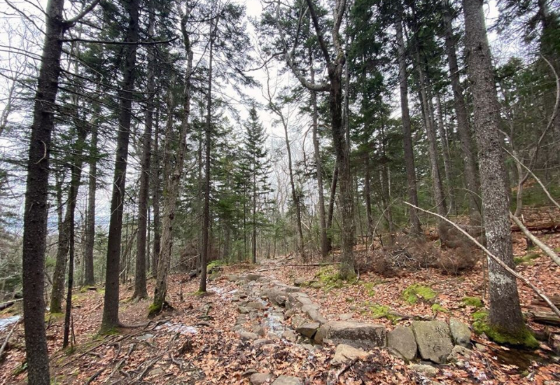 The BEST Hiking Camden Maine Has to Offer: 35 Hiking Trails to Explore