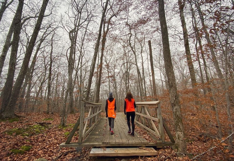 The BEST Hiking Camden Maine Has to Offer: 35 Hiking Trails to Explore