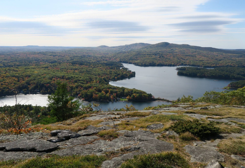 are dogs allowed mount battie maine