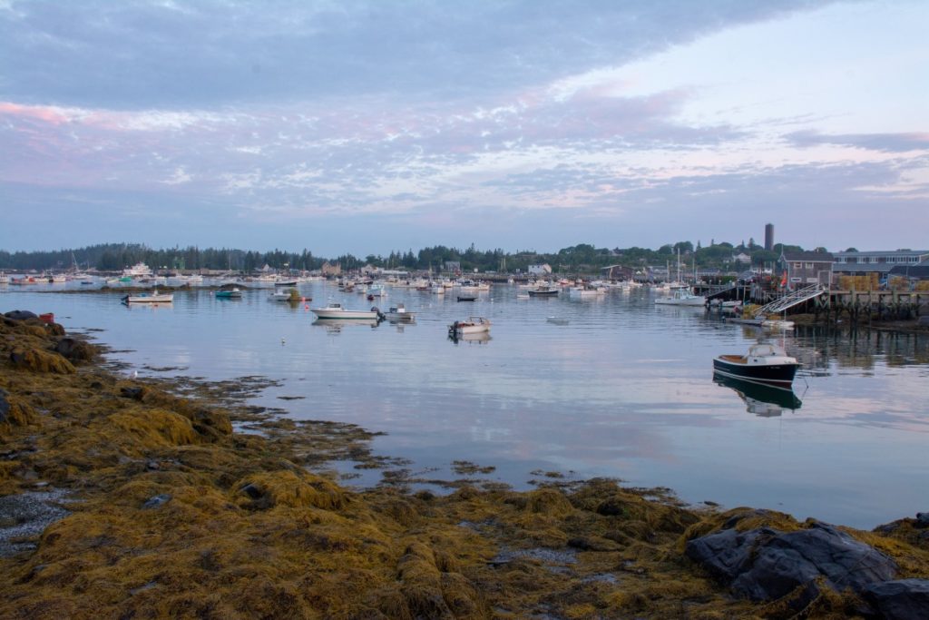 Vinalhaven Harbor