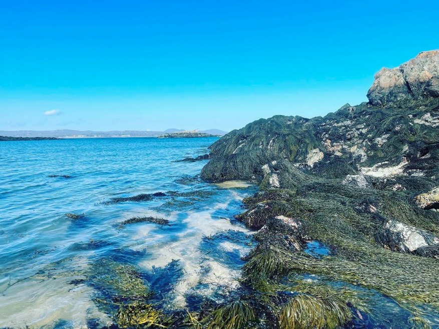 owls head maine - penobscot bay - Feburary 2022