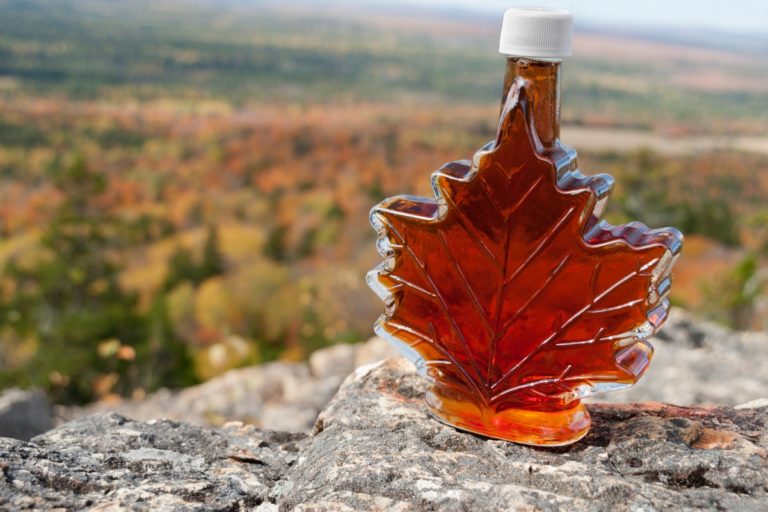 maple syrup overlooking fall colors in maine