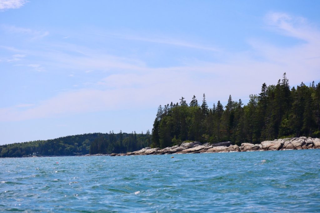 Birch Point - Owls Head Maine