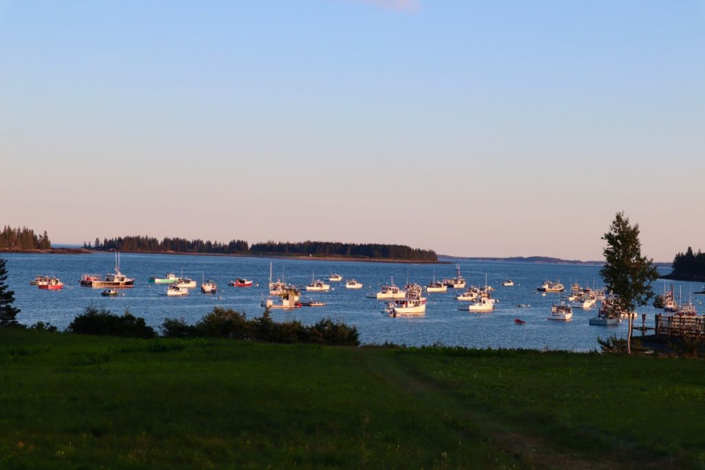 Birch Point - Owls Head Maine