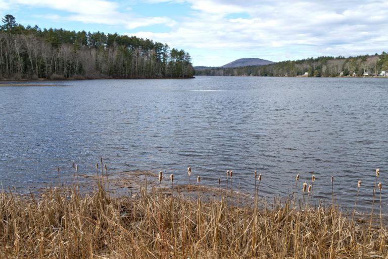 Megunticook Lake