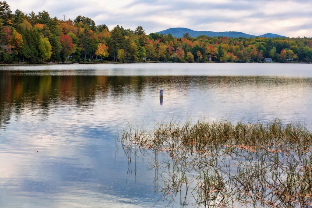 fall at Norton Pond in Lincolnville