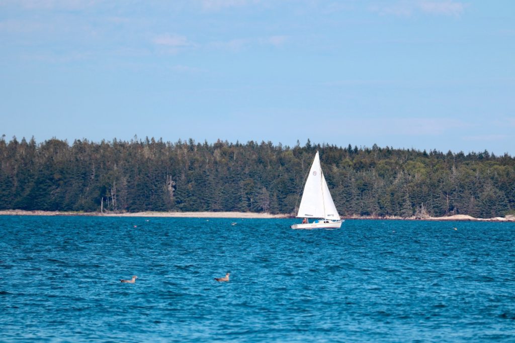 Birch Point - Owls Head Maine