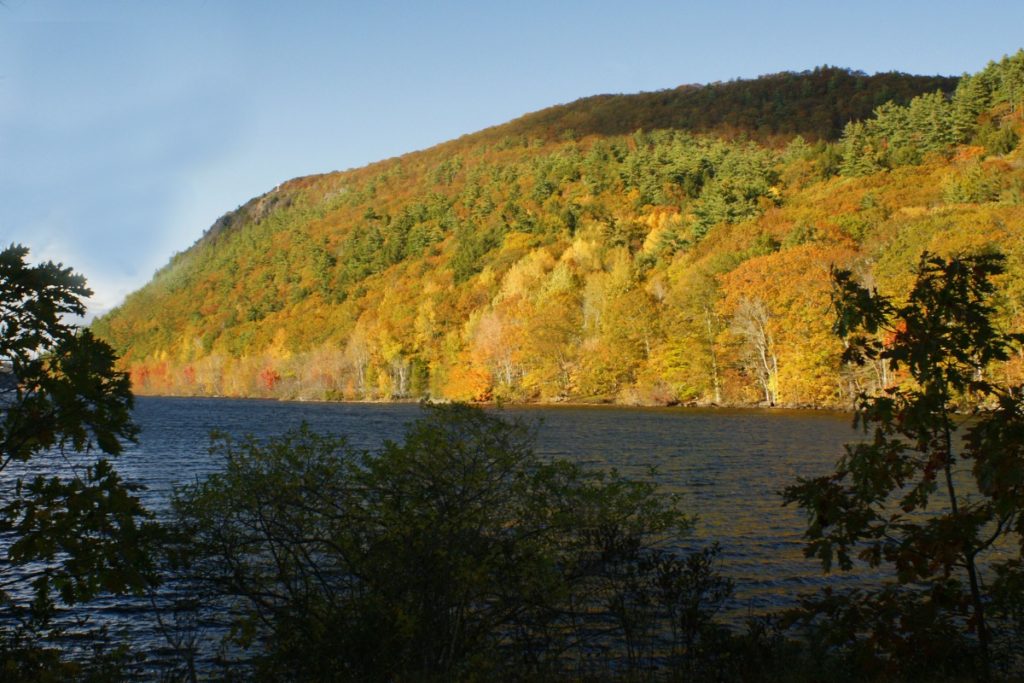 Megunticook Lake in Fall
