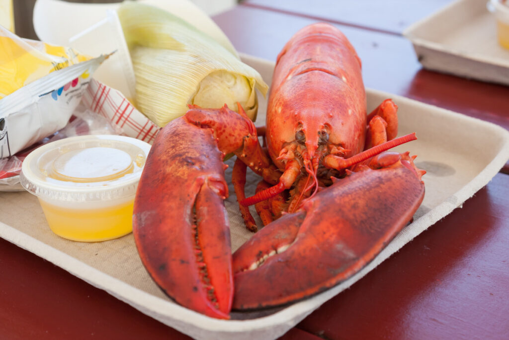 lots of great eats at the Maine Lobster Fest