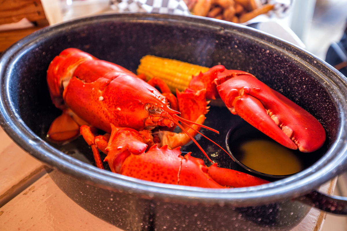 2025 Maine Lobster Festival Guide